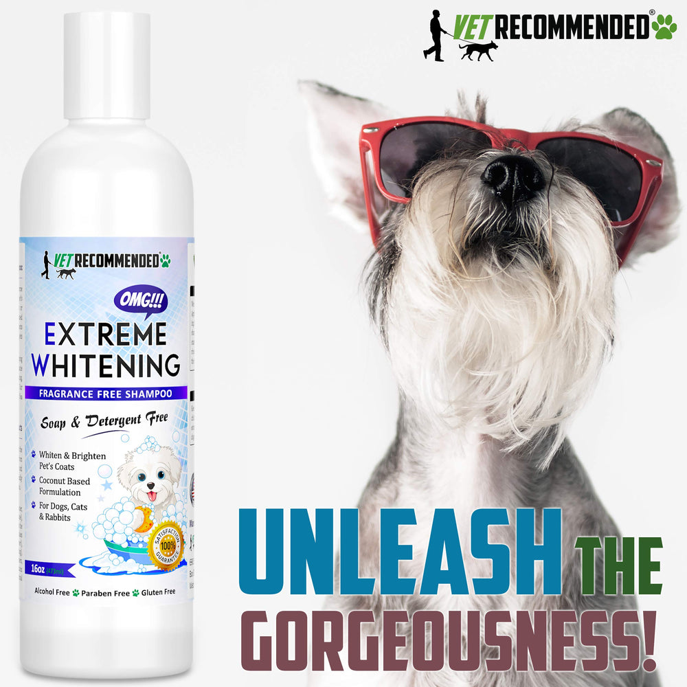 Shampoo shown near flea treatments indicating compatibility with topical products.