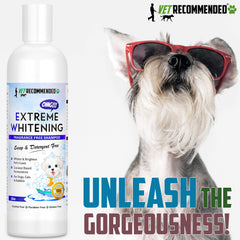 Shampoo shown near flea treatments indicating compatibility with topical products.