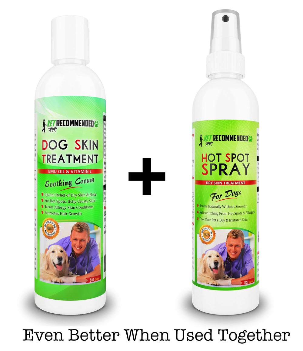 Vet Recommended skincare routine image for regular dog care