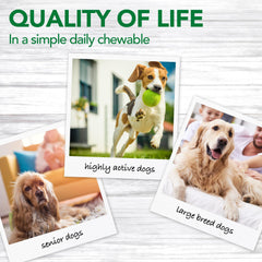 Vet's Best Aches + Pains tablets shown, easy to digest