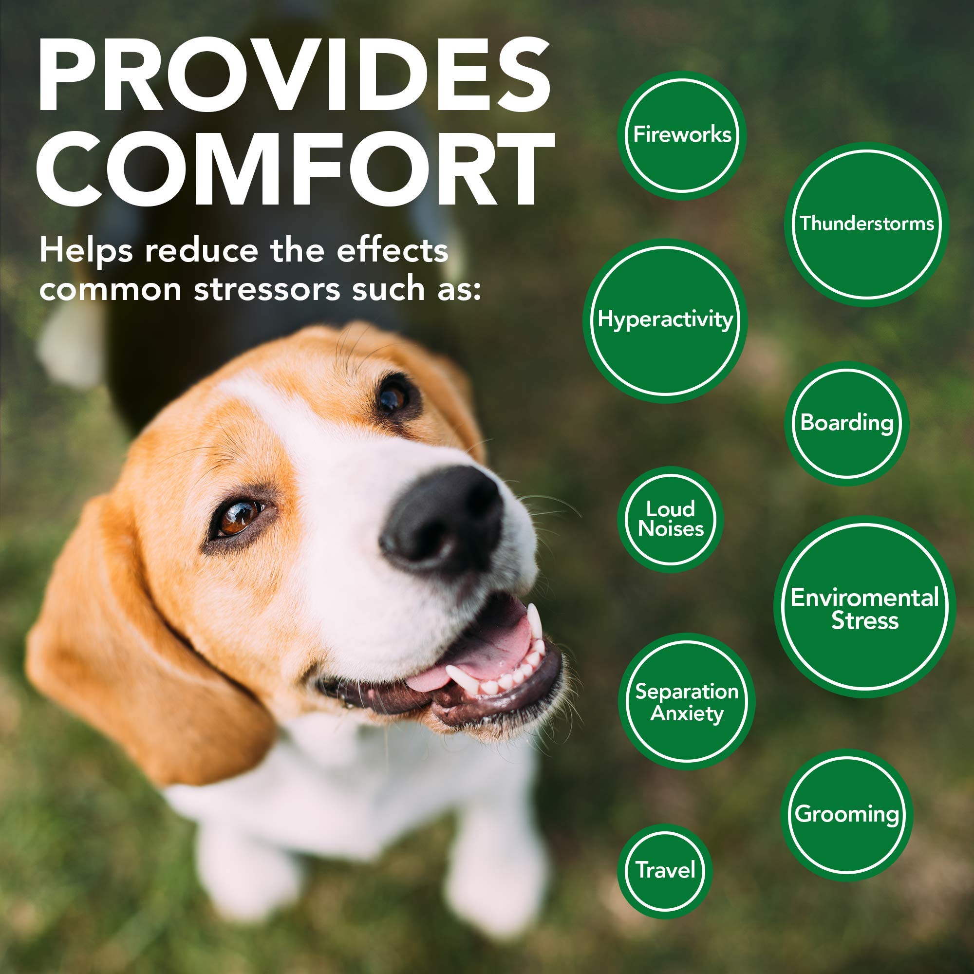 Dish with Vet's Best Comfort Calm soft chews illustrating convenient use