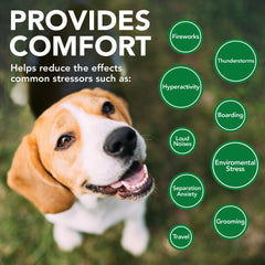 Vet's Best Comfort Calm soft chews dog eating demonstrates tasty, palatable administration.
