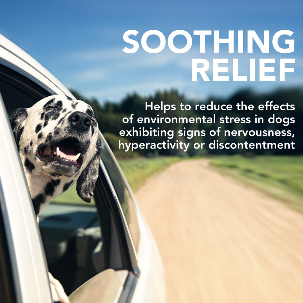 Vet's Best Comfort Calm soft chews treats on hands suggest easy daily dosing.