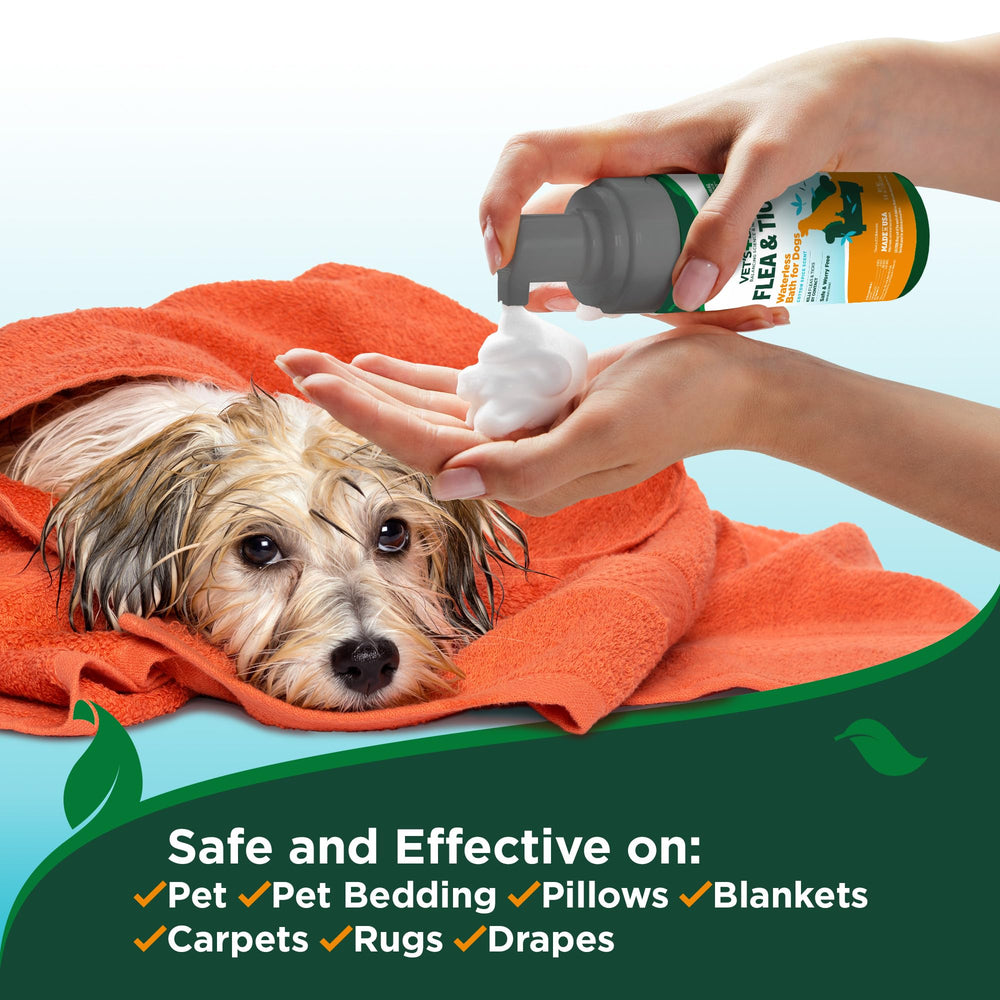 Vet's Best dog after-use coat looks clean and refreshed.