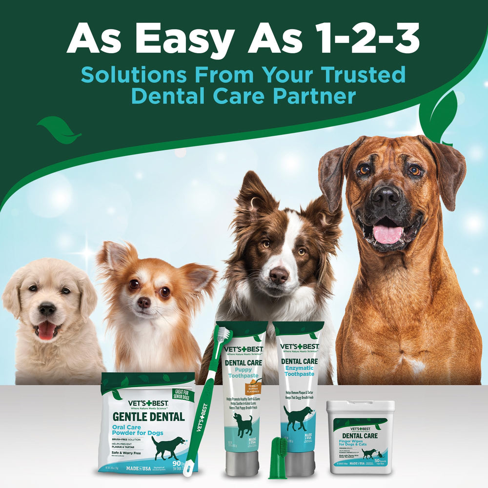 Using Vet's Best wipes between vet visits to maintain oral hygiene.