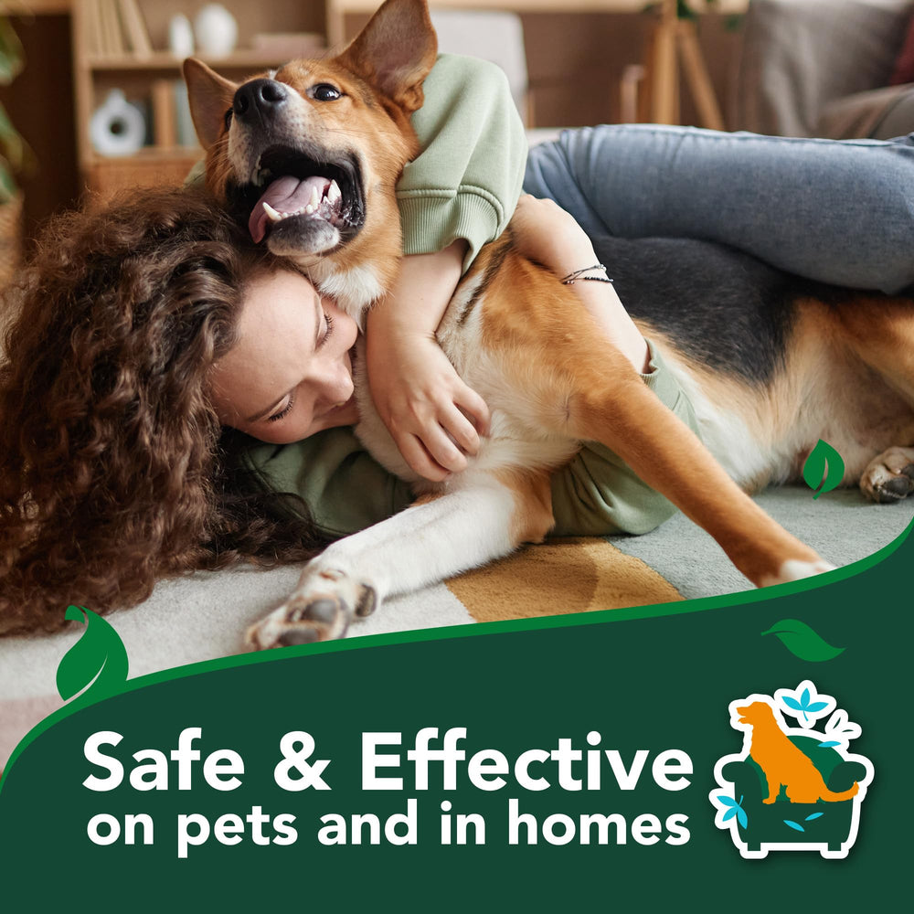 Vet’s Best carpet-safe spray applied to indoor areas.