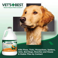 Vet's Best flea and tick home spray refill bottle demonstrates value refill for households.