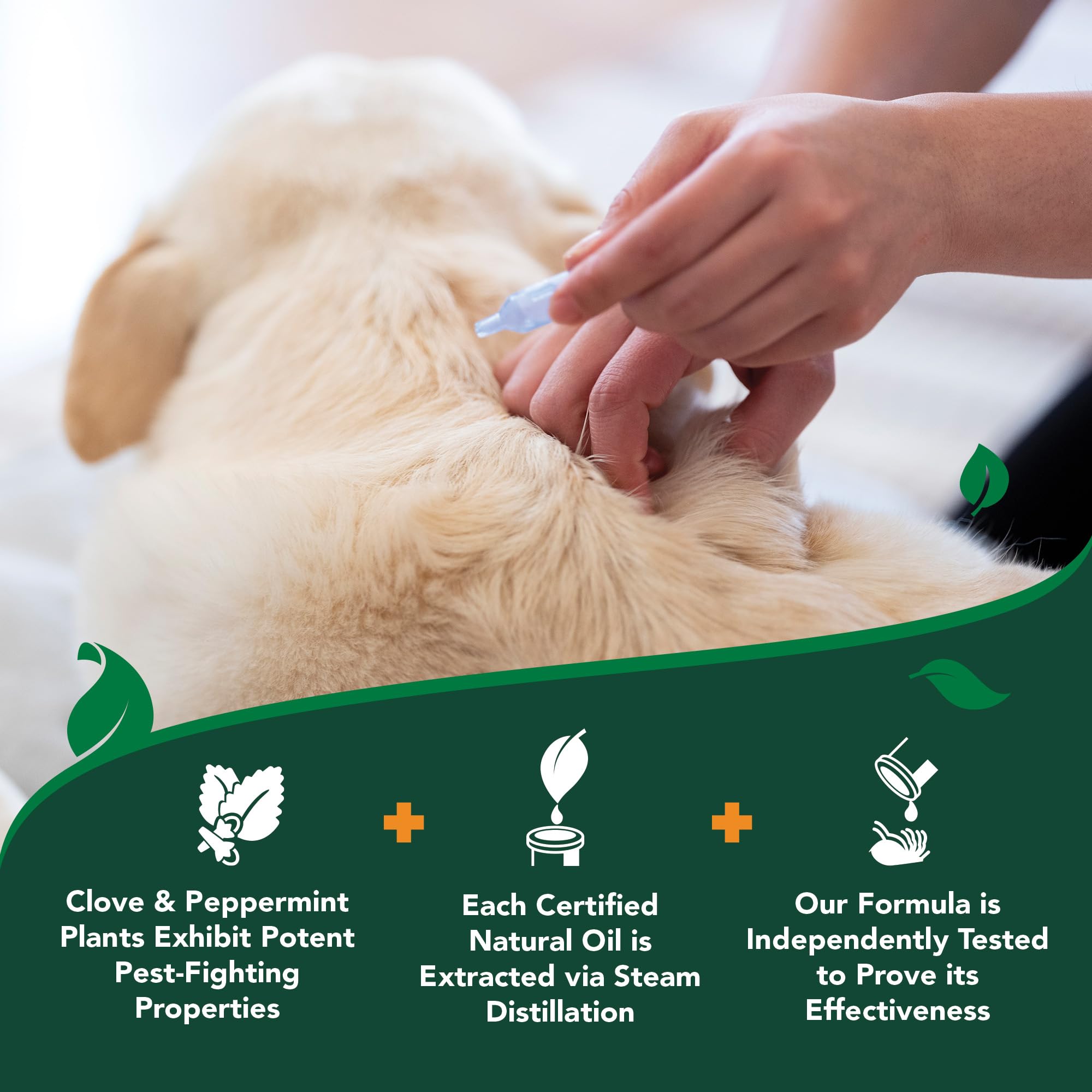 Vet's Best dropper delivers clean, mess-free dosing along the spine.