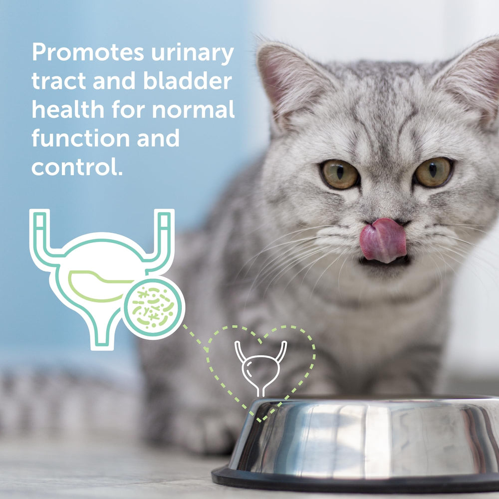 Flo Cat Cranberry Supplement packaging back details and usage