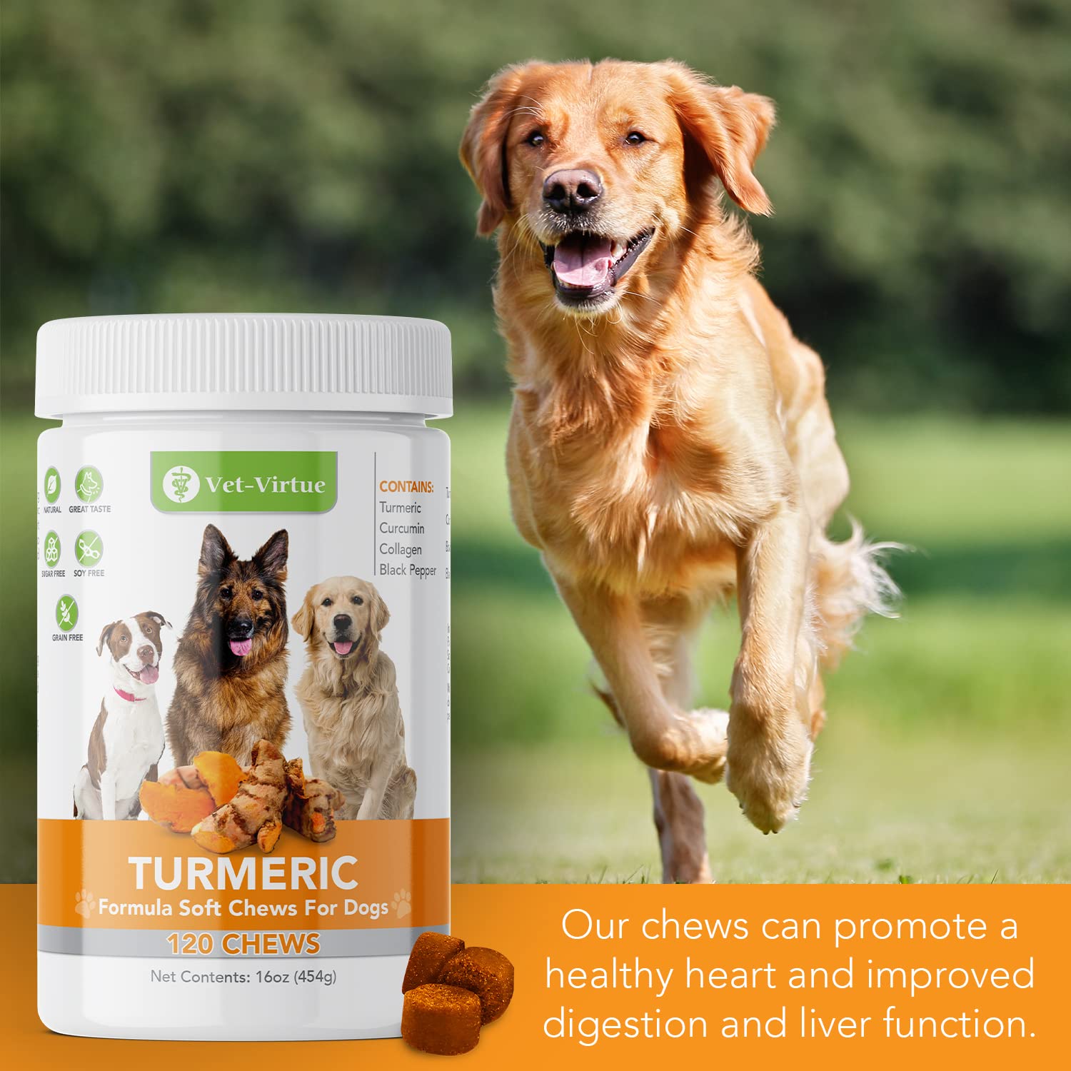 VET-VIRTUE Turmeric supports joint mobility for active dogs.