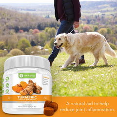 VET-VIRTUE turmeric for dogs ingredients; shows turmeric root and collagen in one bite.