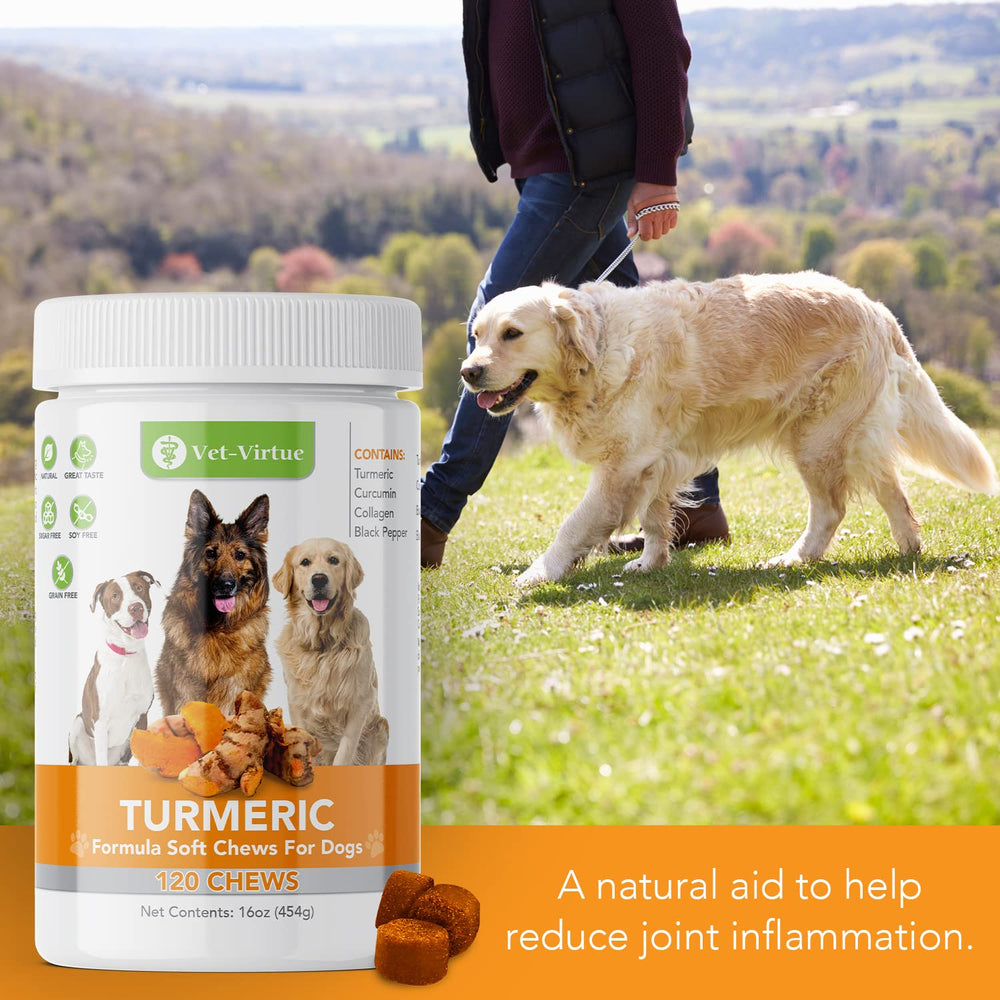 VET-VIRTUE Turmeric chews in owner's hand for convenient daily use.