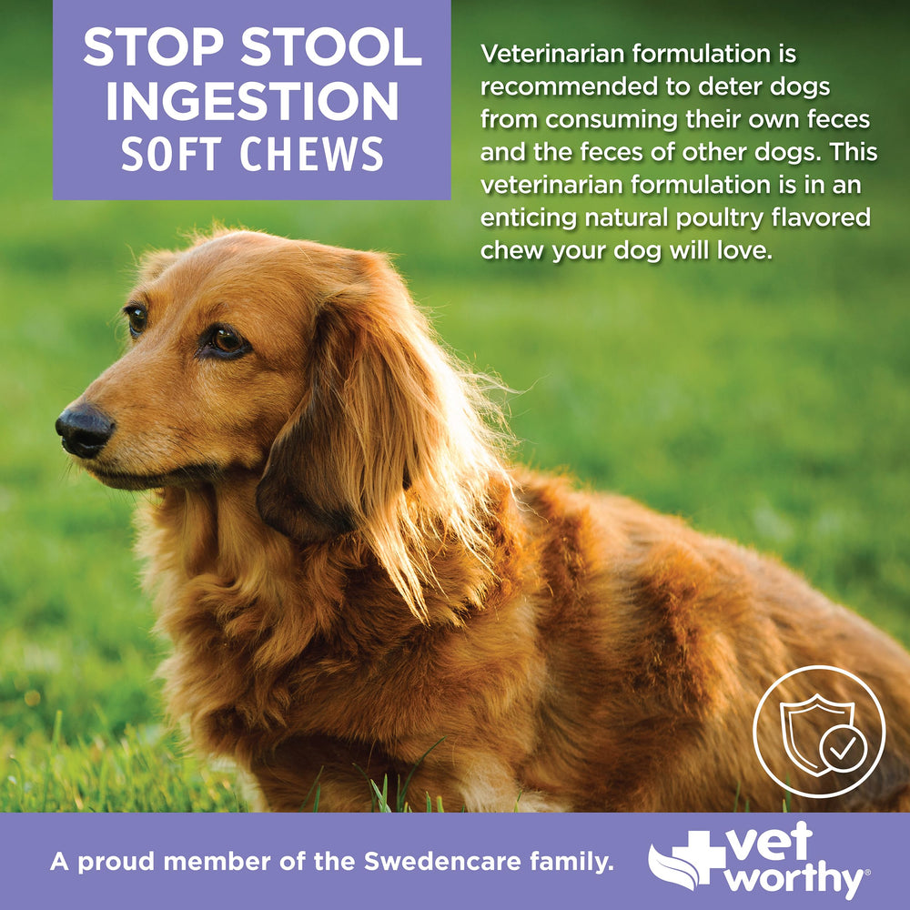 Closeup of Vet Worthy Coprophagia Deterrent soft chews deterring stool eating.