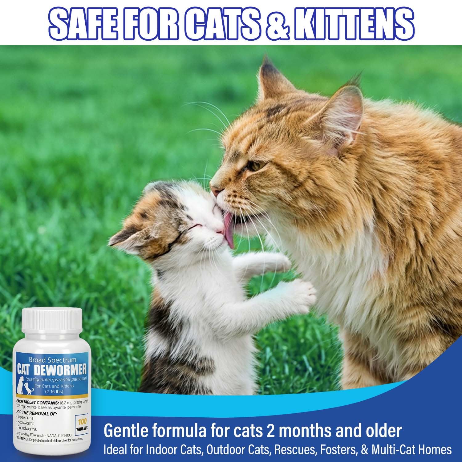 VetaCare dewormer box and blister pack ideal for multi-cat homes.