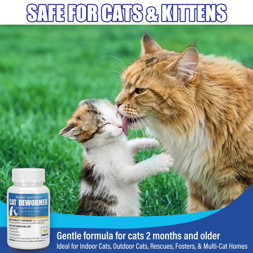 VetaCare dewormer box and blister pack ideal for multi-cat homes.