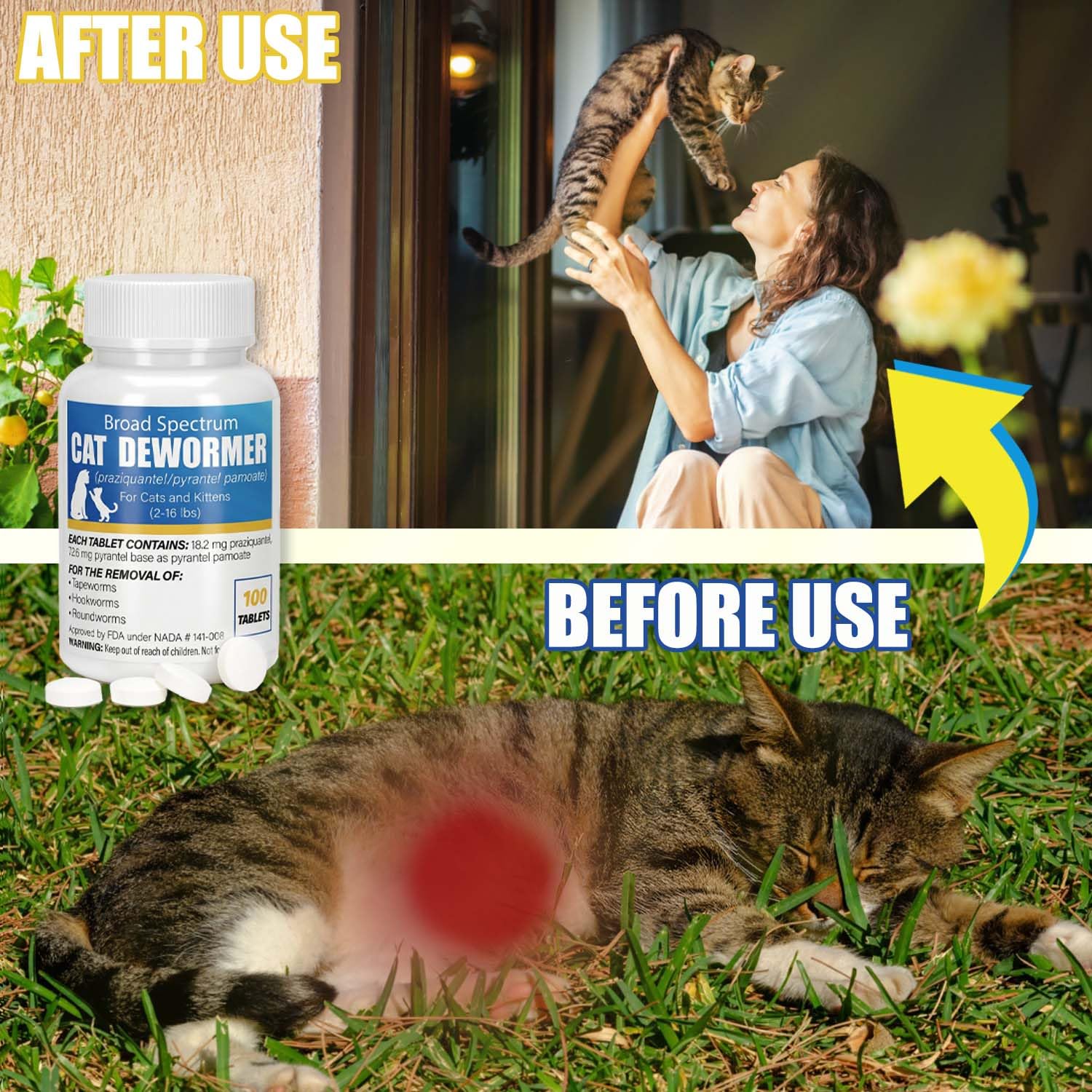 VetaCare dewormer being offered to a cat with minimal fuss.