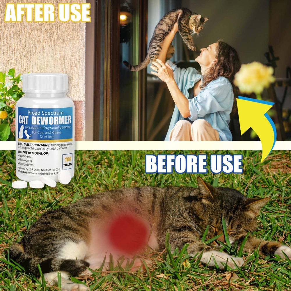 VetaCare dewormer being offered to a cat with minimal fuss.
