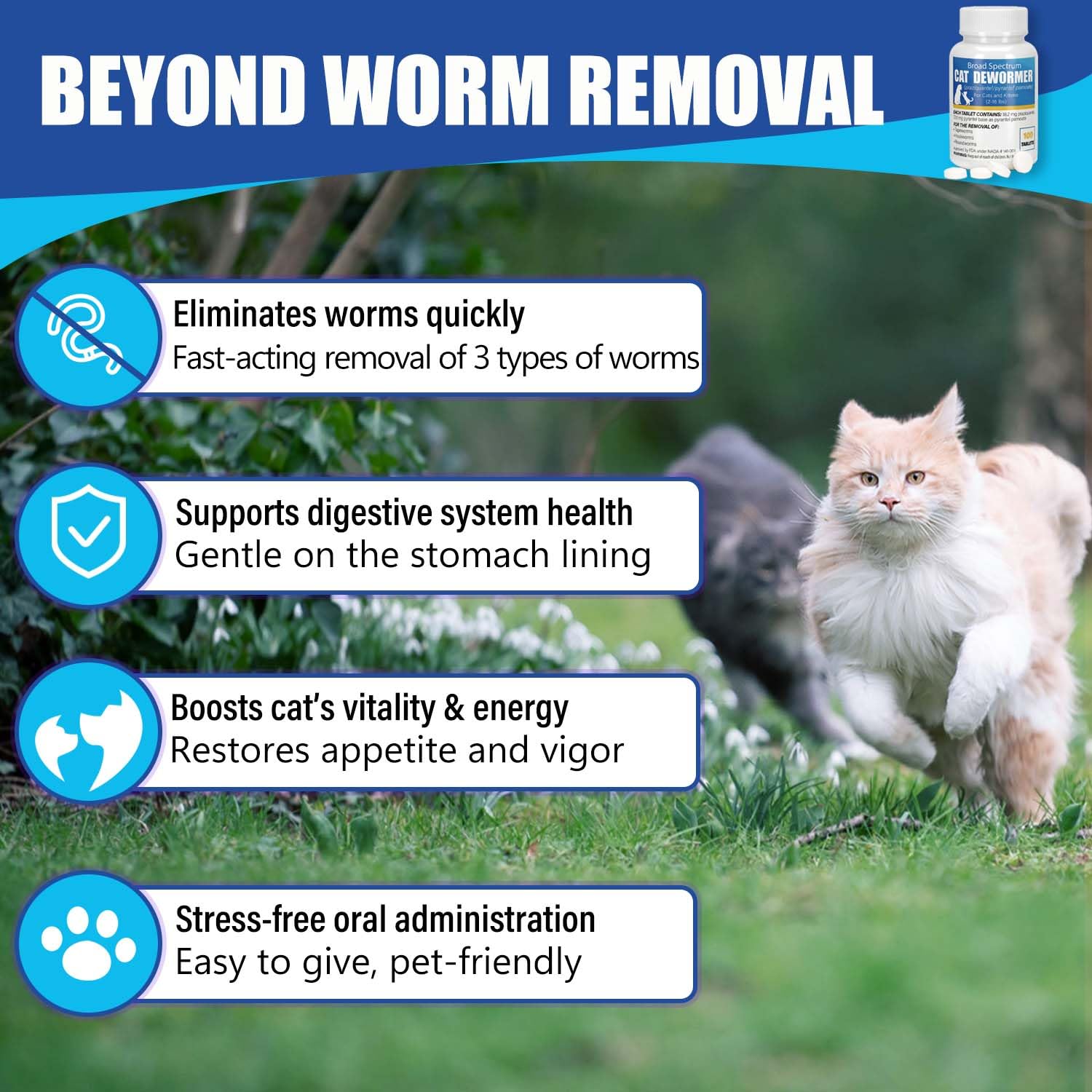 VetaCare dewormer being served with wet food during feeding.