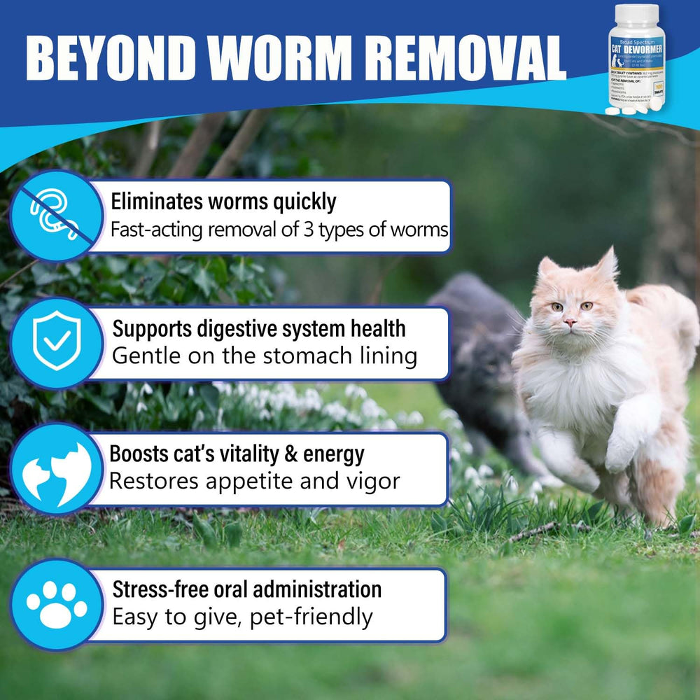 VetaCare dewormer being served with wet food during feeding.