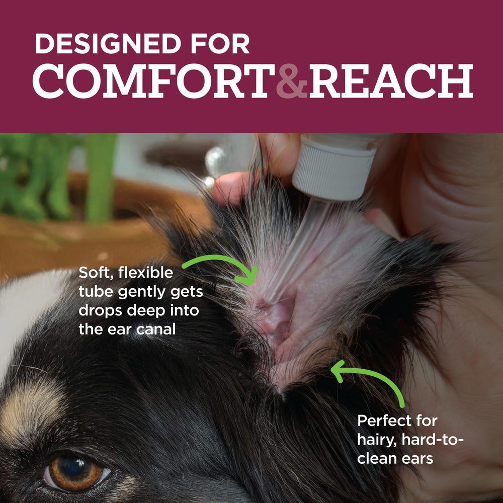 Vetality relief after use – dog appears calm and comfortable.