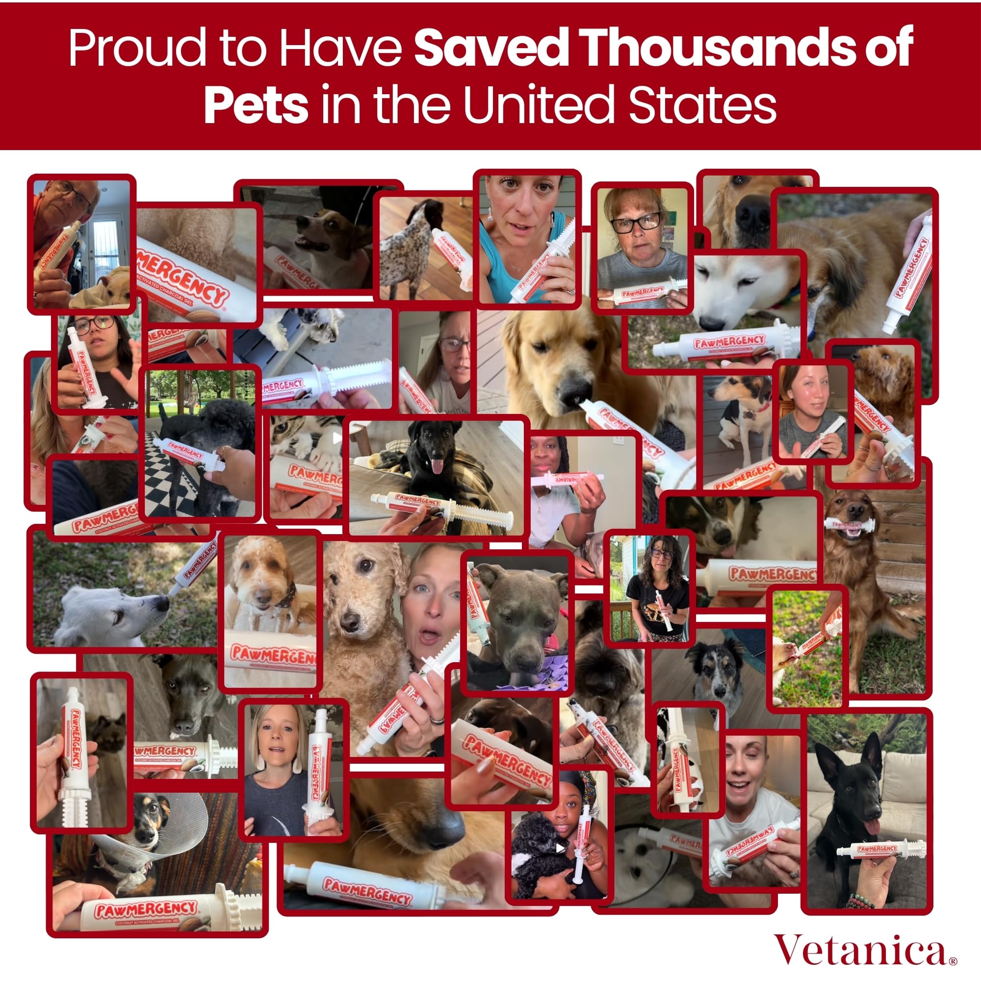 Vetanica PawMergency dogs and cats pack ready for universal pet support.