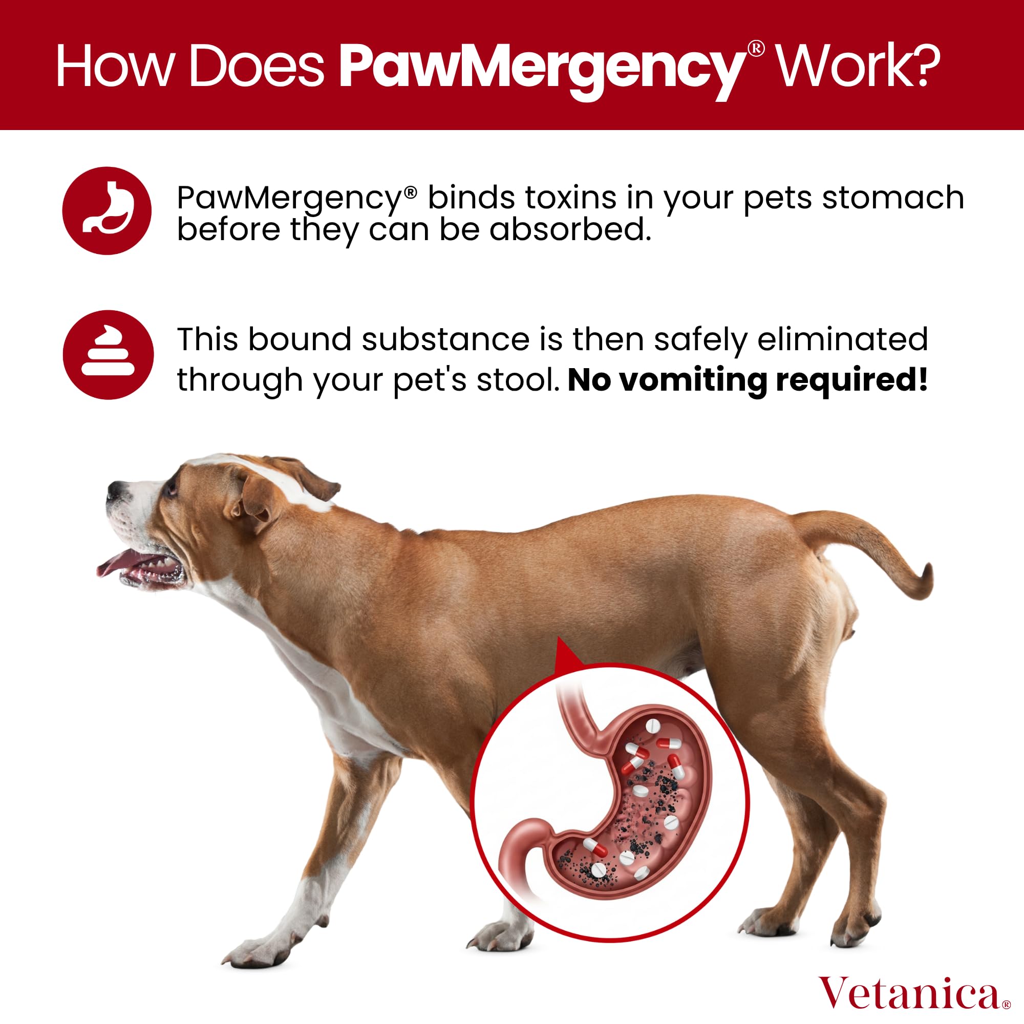 Vetanica PawMergency easy administration for dogs and cats.
