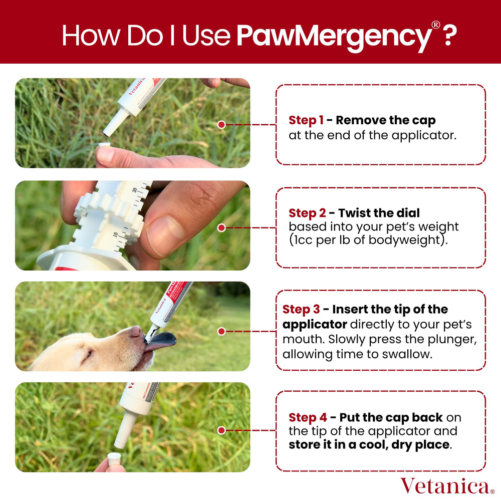 Vetanica PawMergency kit in kitchen or car for travel.