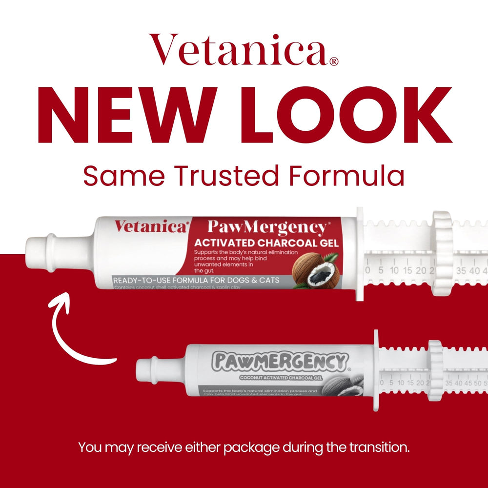 Vetanica PawMergency first aid kit beside travel bag for quick access.