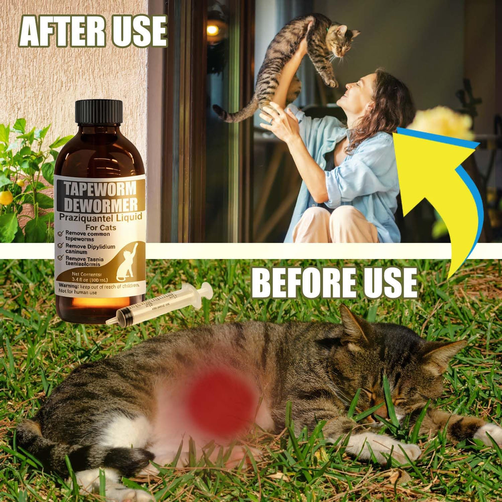 VetaSure packaging shows clear label for pet parents.
