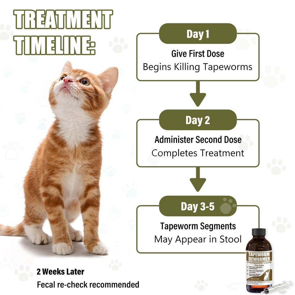 VetaSure helps address scooting symptoms and comfort.