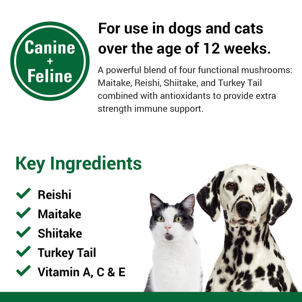 Vet Classics CAS Options Extra Strength Immune Support reishi mushrooms featured for antioxidant support.