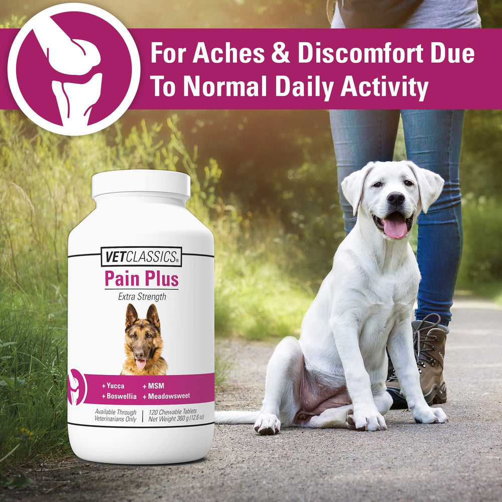 Vet Classics Pain Plus Extra Strength soft-chews facilitate easy administration for dogs.