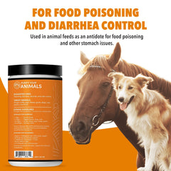 VetDtox Activated Charcoal Powder cat bowl scene, supports digestive comfort for felines.