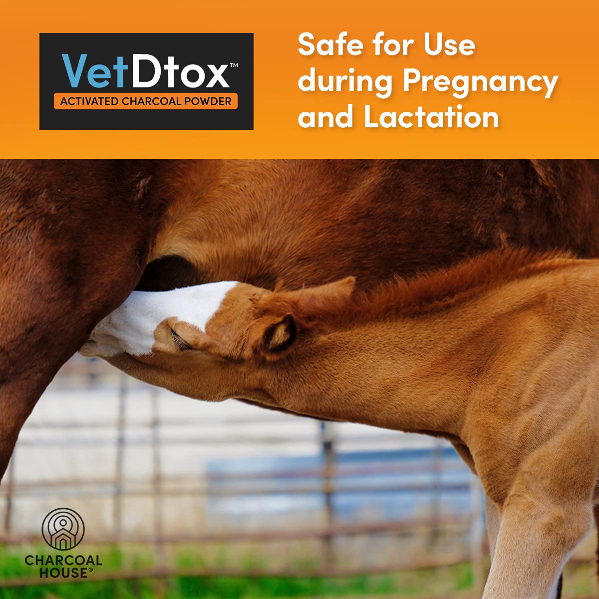 VetDtox Activated Charcoal Powder scoop with powder, easy measurement for small doses.