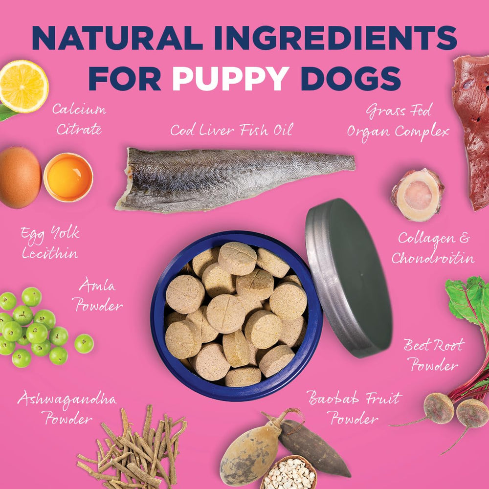 Digestive enzyme blend panel on Vetericyn All-in-1 Puppy Supplement bottle