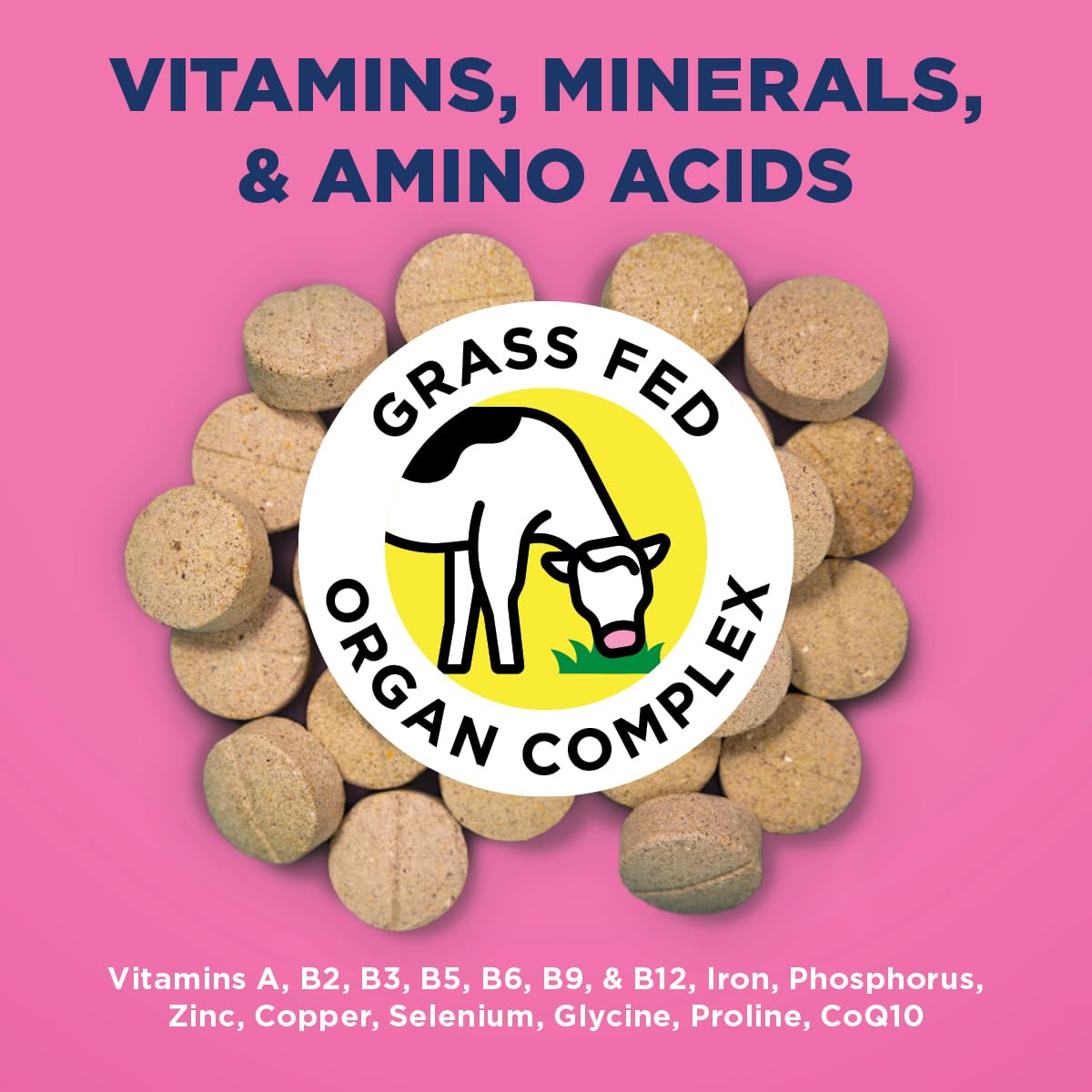 Prebiotics and probiotics imagery in Vetericyn puppy formula for gut health