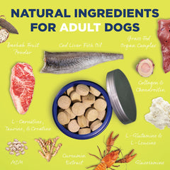 Vetericyn All-in-1 vitamins and antioxidants softgels for overall vitality