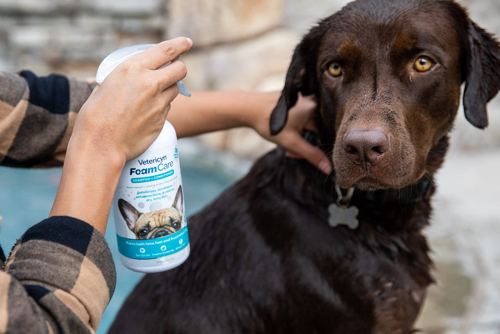 Vetericyn FoamCare foamy lather close-up shows gentle cleansing for pets.
