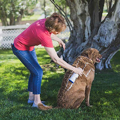 Vetericyn FoamCare brand label emphasizes safe, hypoallergenic medicated formula.