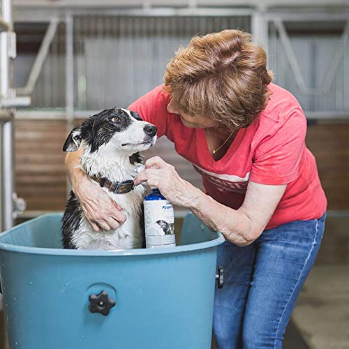 Vetericyn FoamCare coat lather closeup shows rich foam for sensitive skin.