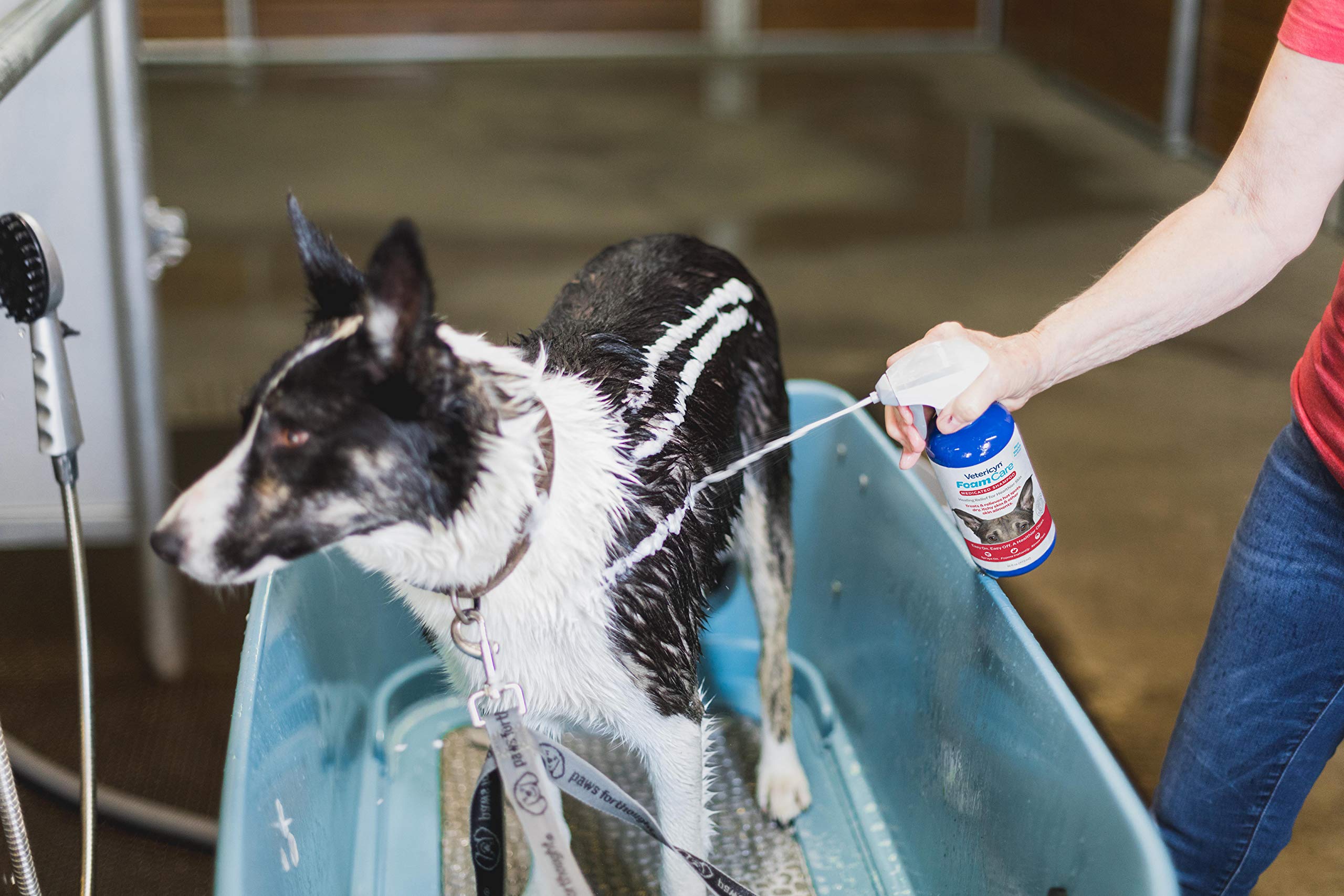 Vetericyn FoamCare foaming spray application demonstrates easy, quick bath.