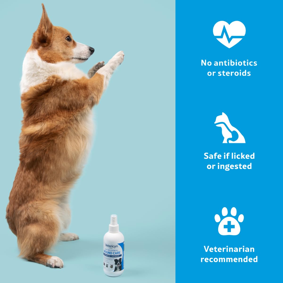 Vetericyn Plus dog wound cleanser closeup shows soothing spray on irritated skin.