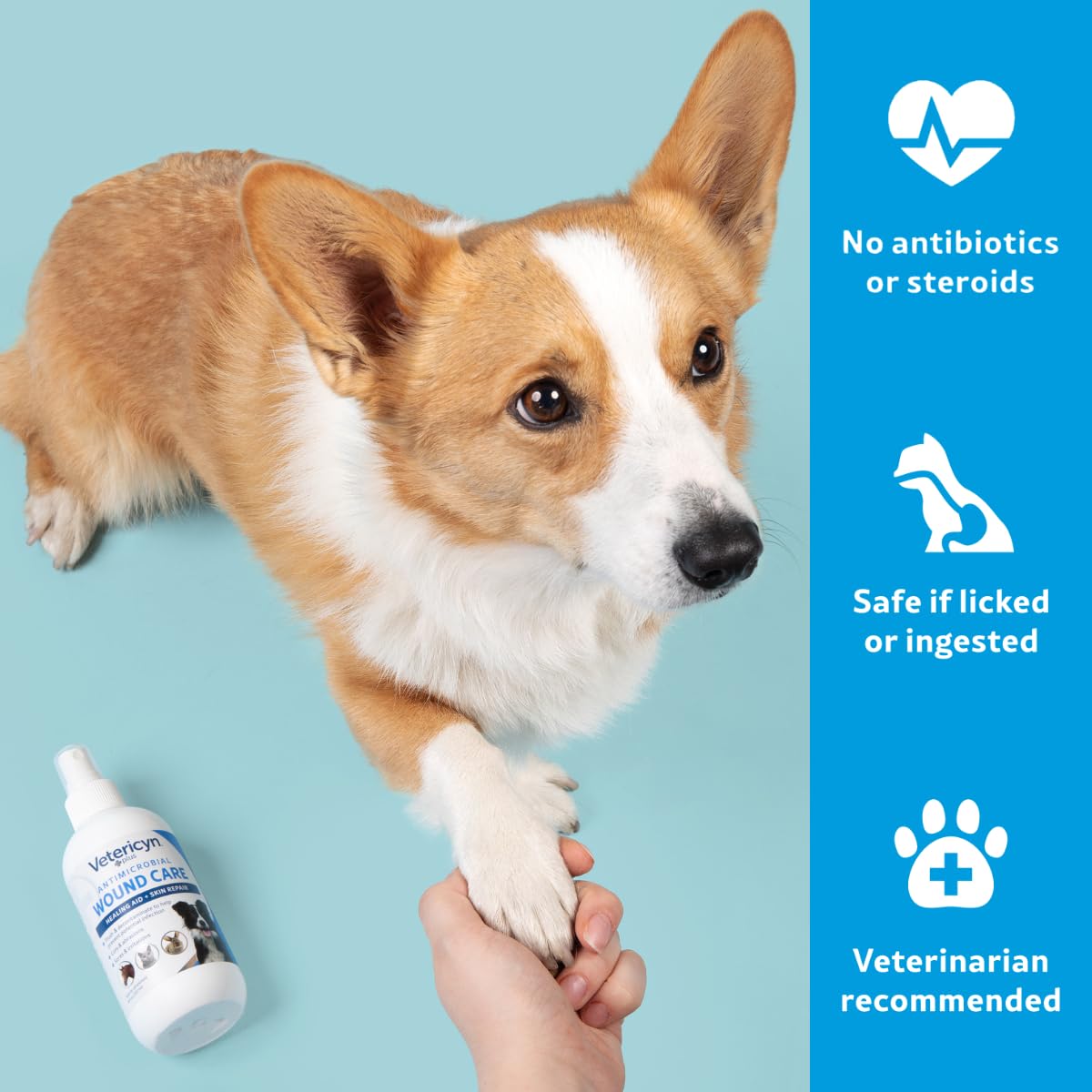 Vetericyn Plus spray applied to a dog's wound for gentle cleaning.