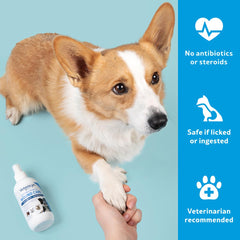 Vetericyn Plus spray applied to a dog's wound for gentle cleaning.