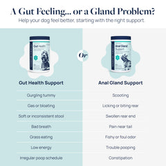 Agave Inulin prebiotic in Veterinary Formula Anal Gland Support supports gut balance.