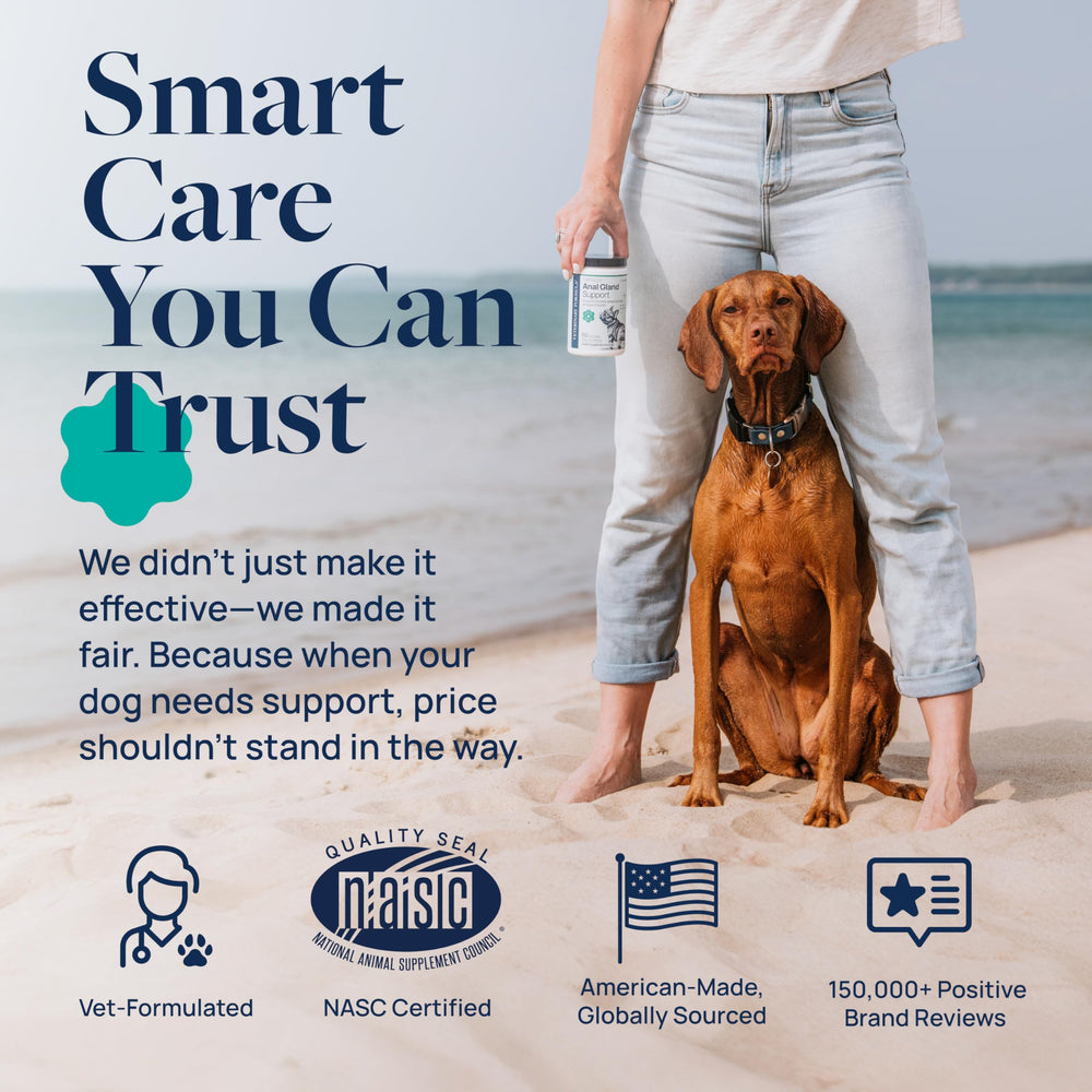 Probiotic blend and prebiotics in Veterinary Formula Anal Gland Support promote healthy gut flora.