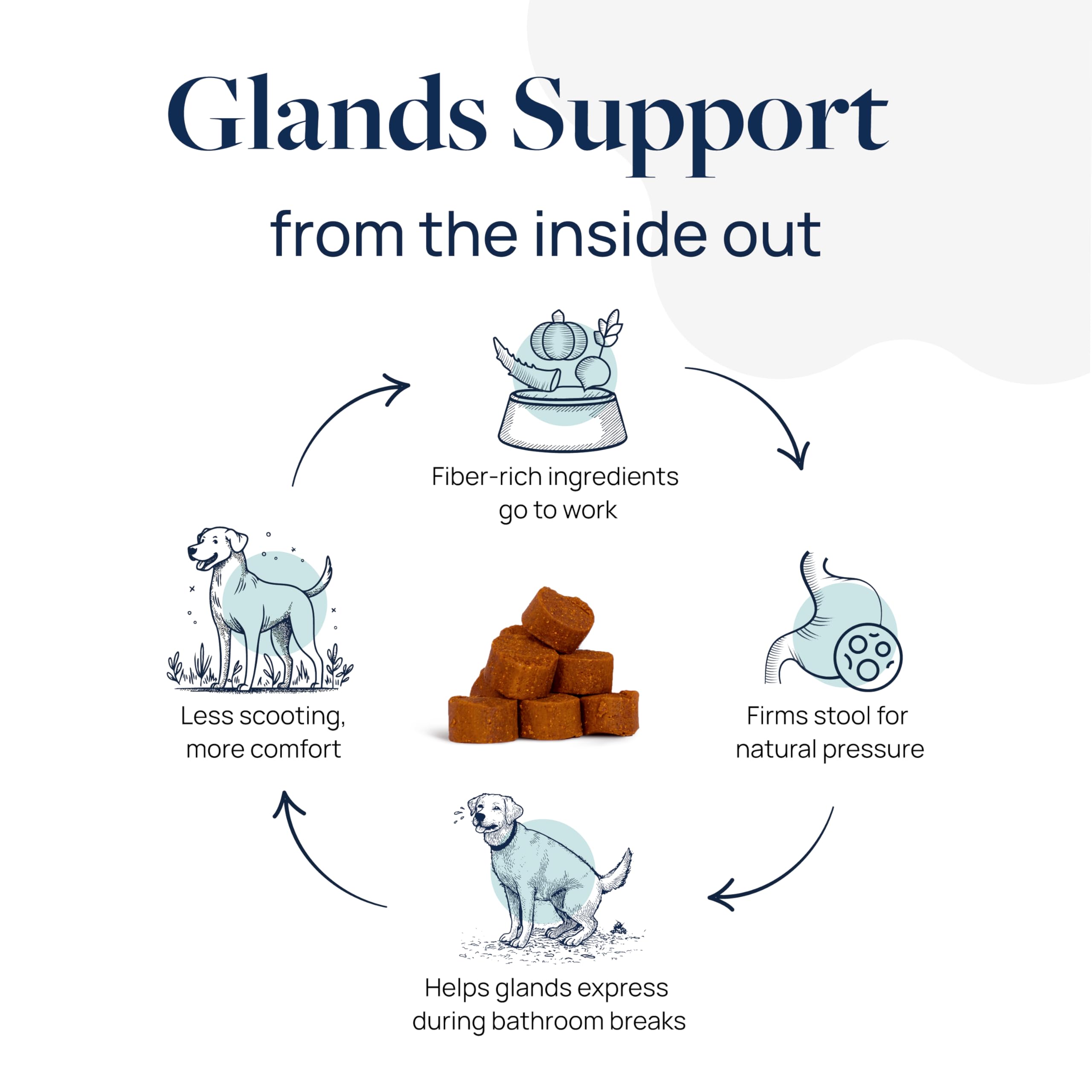 Anal Gland Support includes pumpkin and ginger ingredients for stool quality and digestion.