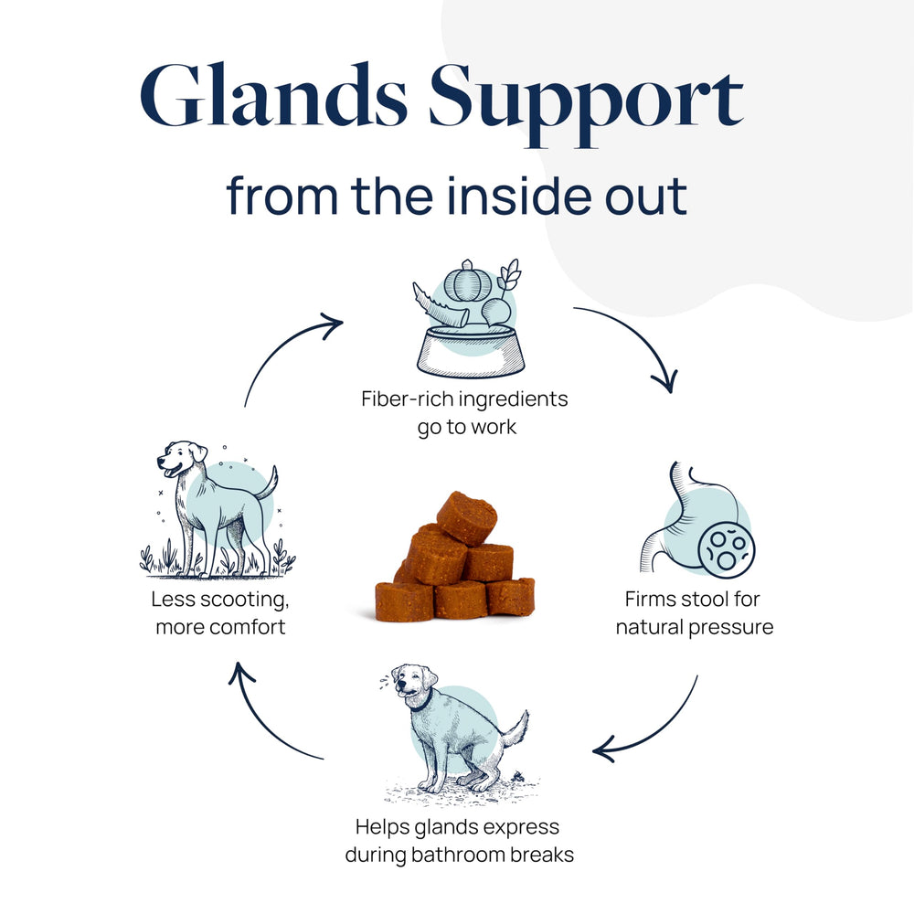 Anal Gland Support includes pumpkin and ginger ingredients for stool quality and digestion.