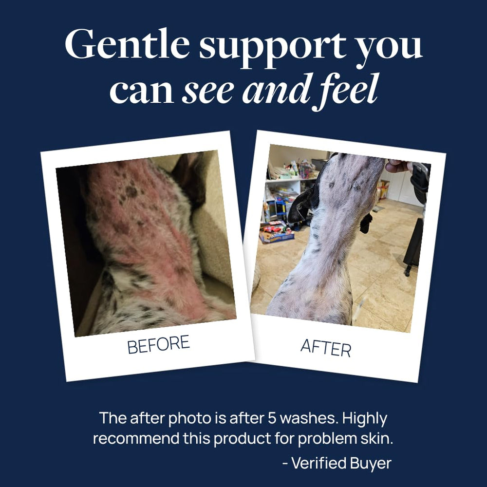 Veterinary Formula Clinical Care antiparasitic shampoo on a dog coat during bath time.