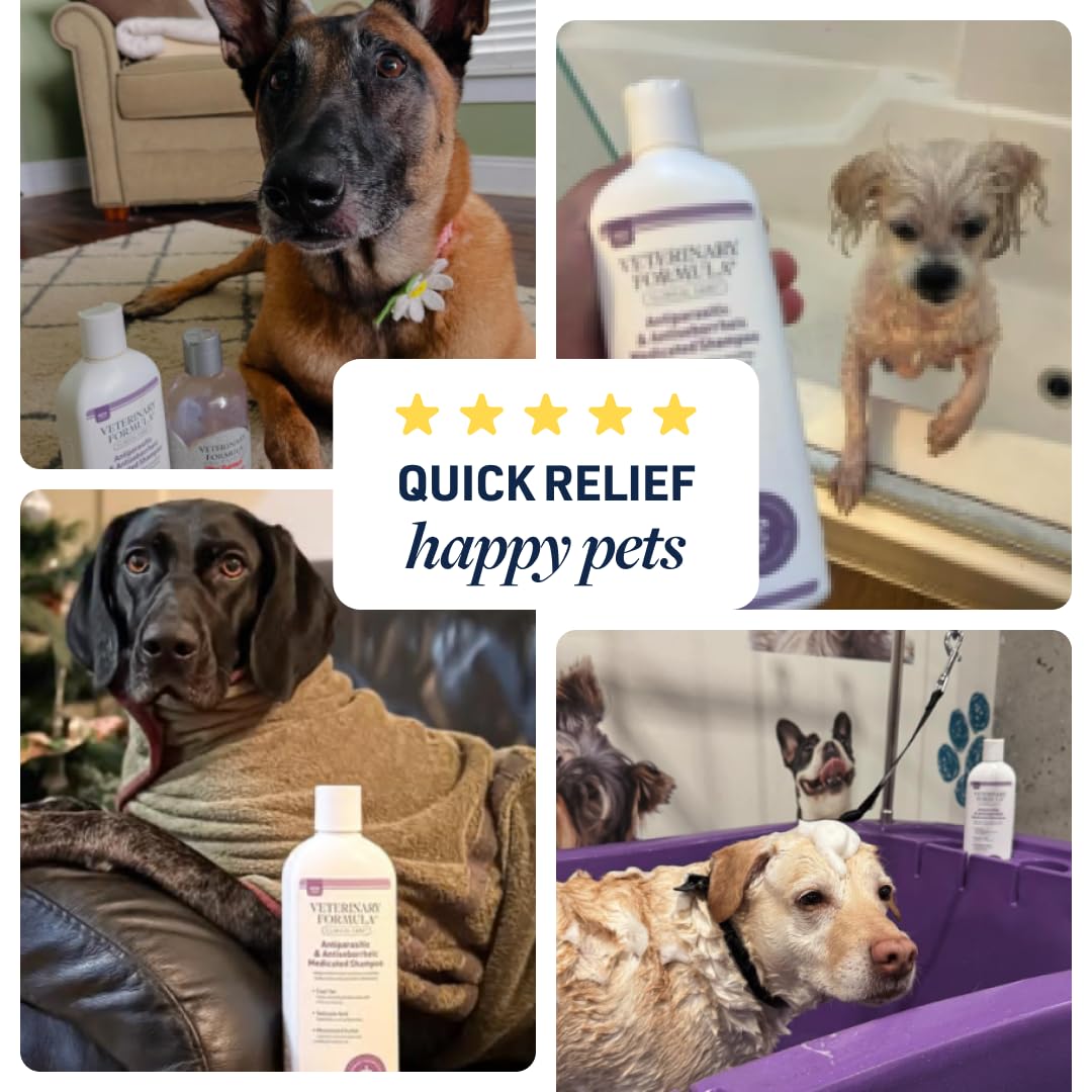 Veterinary Formula Clinical Care antiparasitic shampoo supports regular skin and coat care.